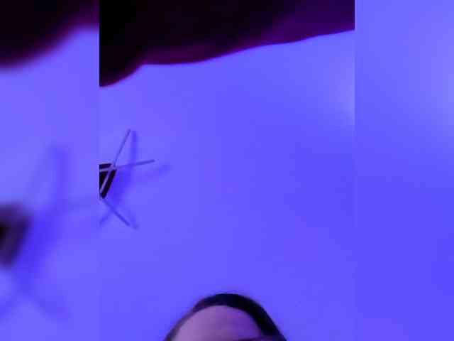 Ella31 webcam