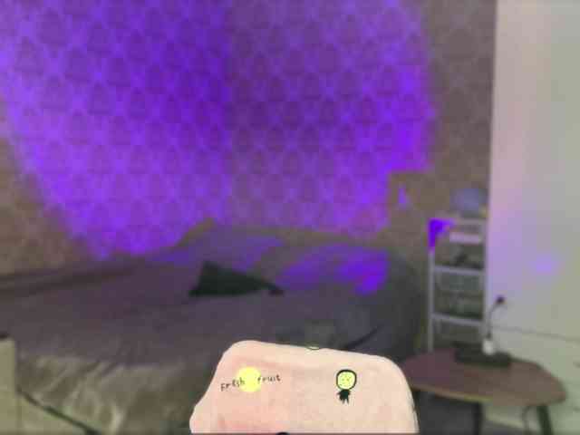 DionneDuet webcam