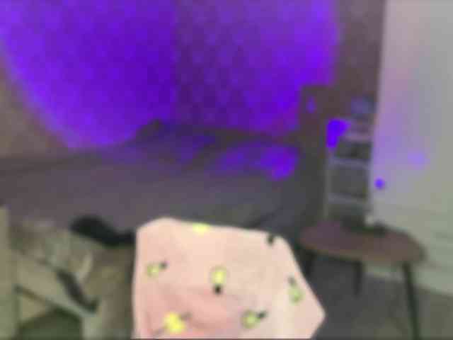 DionneDuet webcam