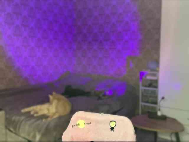 DionneDuet webcam
