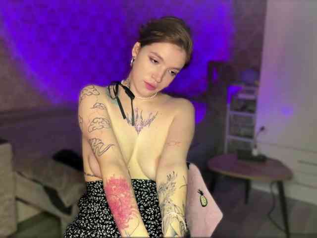 DionneDuet webcam