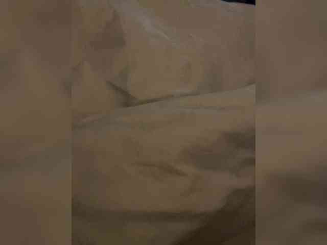GiftedPers webcam