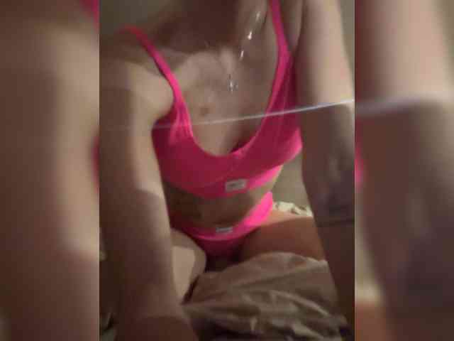 Lisam webcam