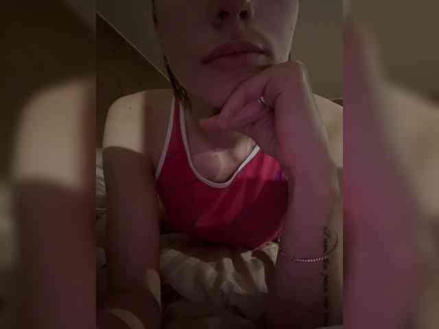 Lisam webcam