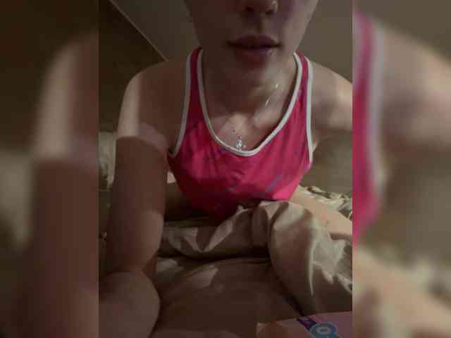 Lisam webcam