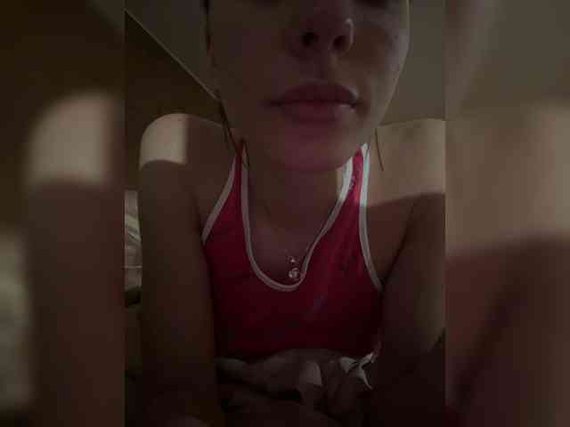 Lisam webcam