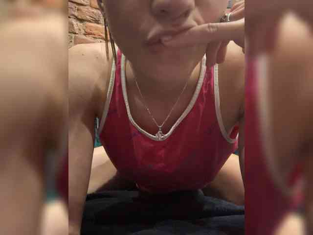 Lisam webcam