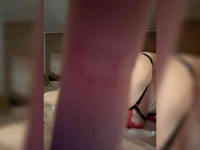 Lisam webcam