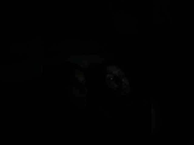 Sexy-and-Garry webcam