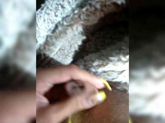 Sexy-and-Garry webcam