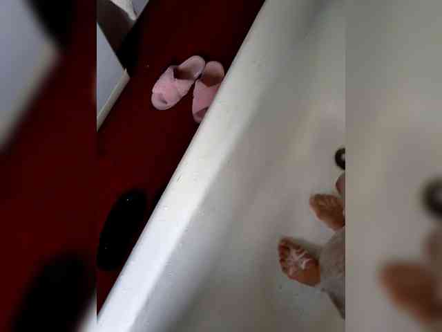 Di-Quodnone webcam