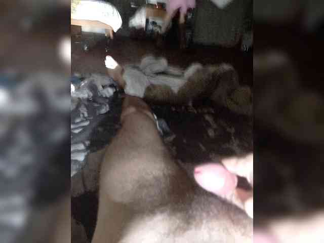 Sexy-and-Garry webcam