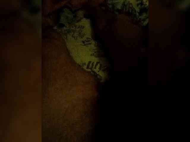 Di-Quodnone webcam