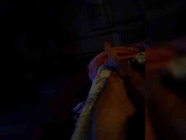 Di-Quodnone webcam
