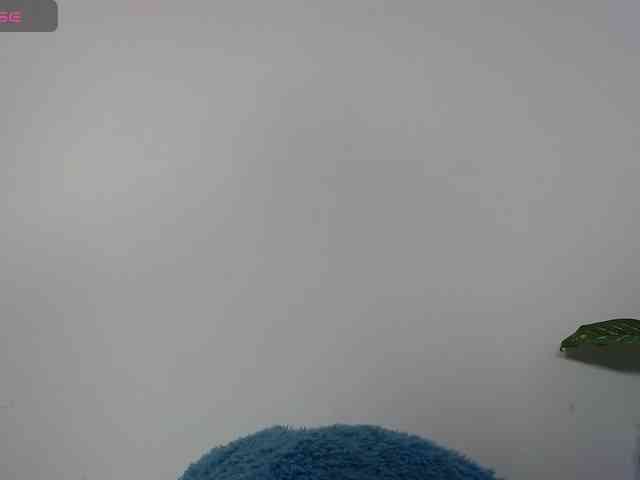 katheerine webcam
