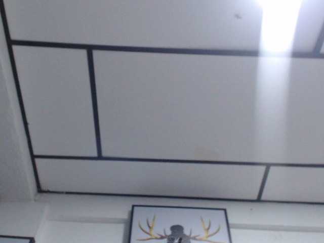 kendalthailor webcam bongacams model stream image