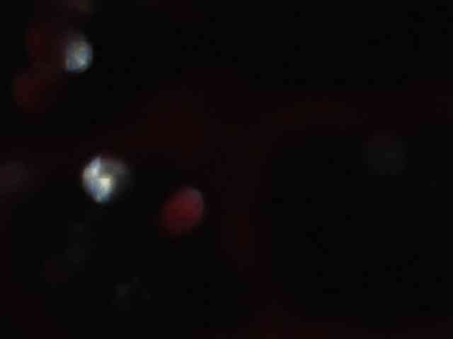 kendalthailor webcam