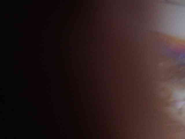 kendalthailor webcam