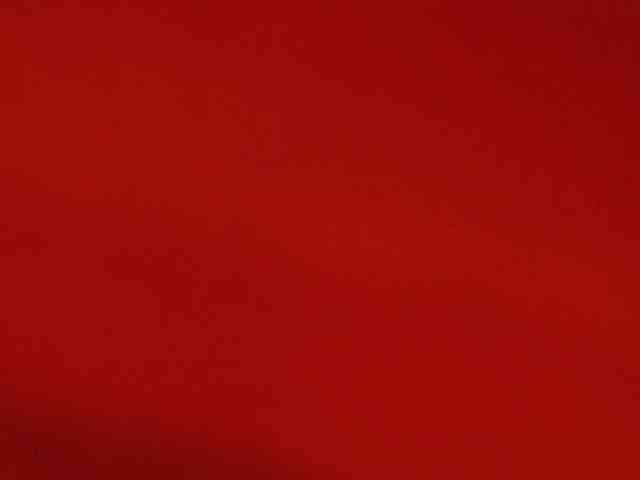 kendalthailor webcam