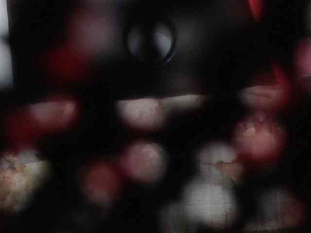 kendalthailor webcam