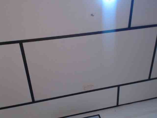 kendalthailor webcam