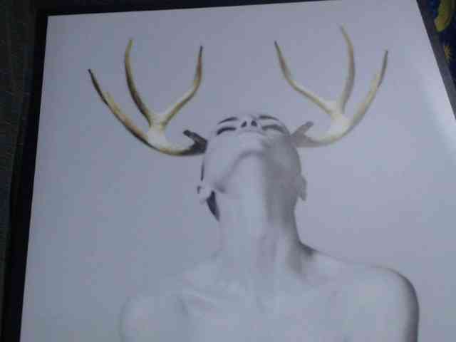 kendalthailor webcam