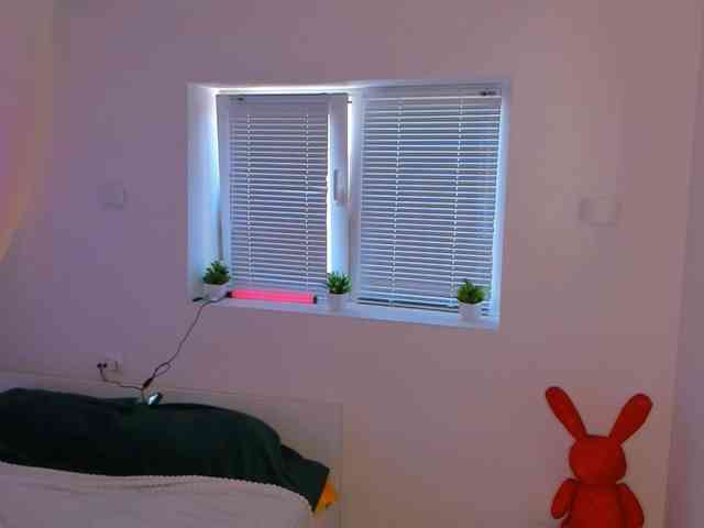 Babyarigoddamn webcam