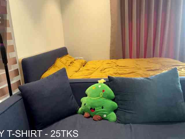 kimryu webcam