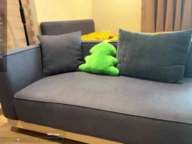 kimryu webcam