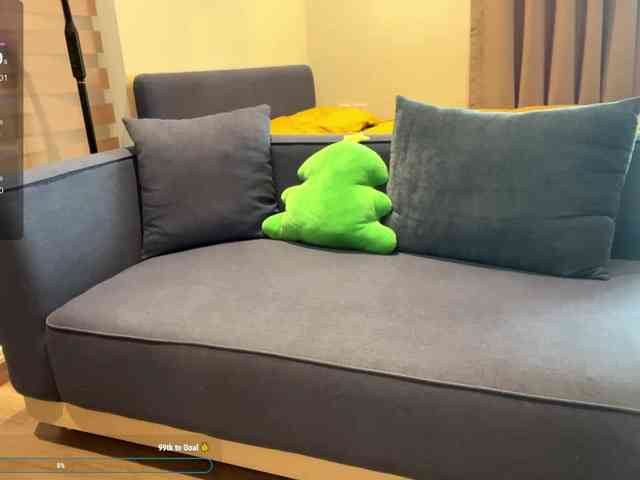 kimryu webcam