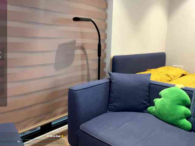 kimryu webcam