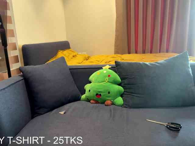 kimryu webcam