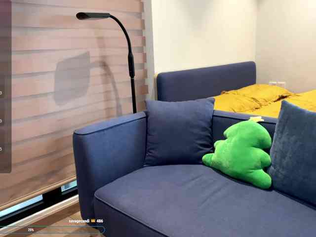 kimryu webcam