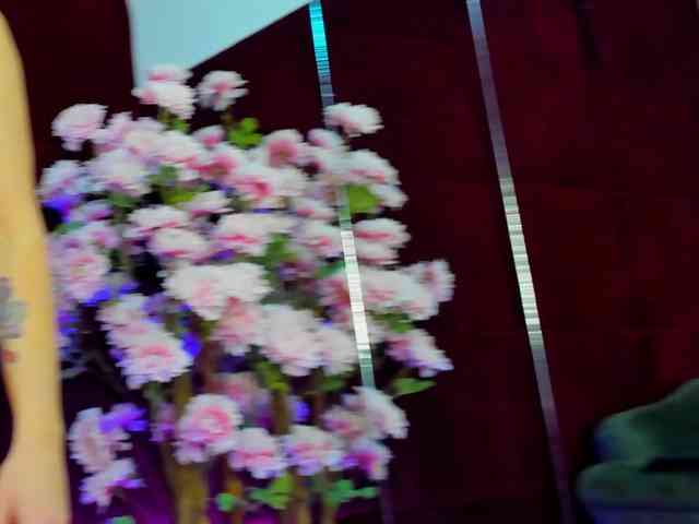 CollegeGirl69 webcam