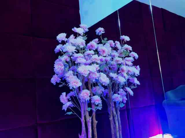 CollegeGirl69 webcam