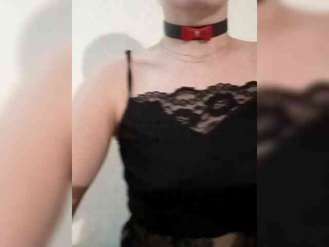 Lola-and-friends webcam