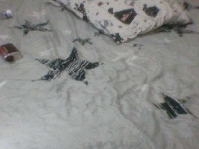 Evelynevasara1's BongaCams show and profile