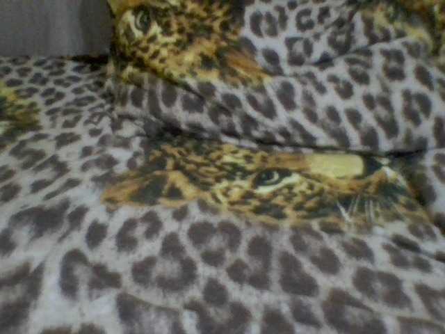 Preview of evelynevasara1