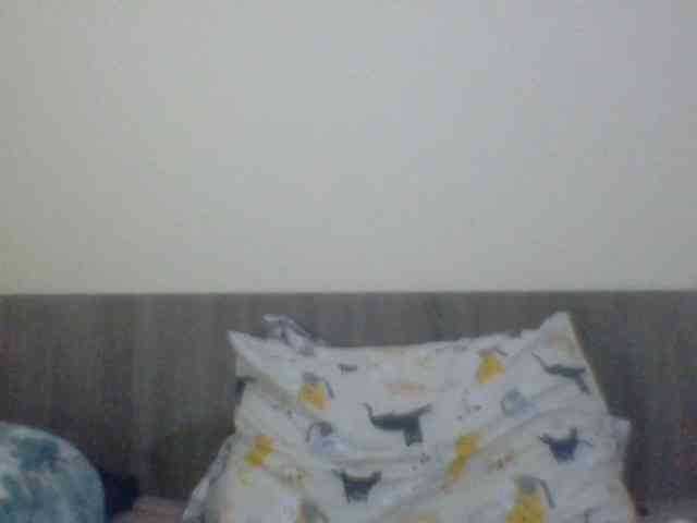 Evelynevasara1 webcam