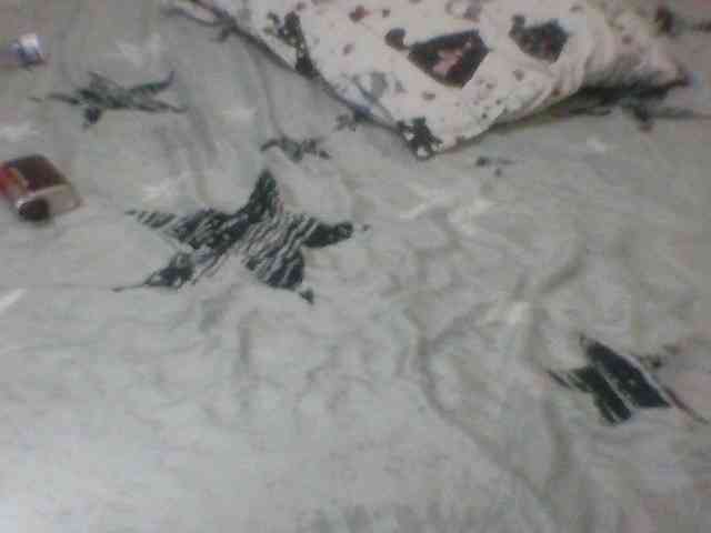 Evelynevasara1 webcam