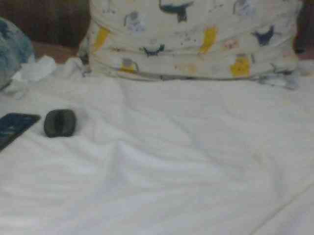 Evelynevasara1 webcam