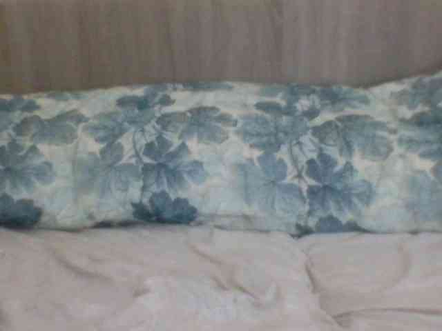 Evelynevasara1 webcam