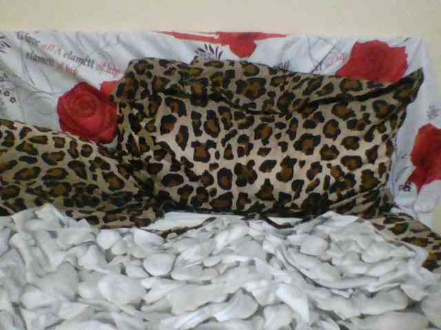 Evelynevasara1 webcam
