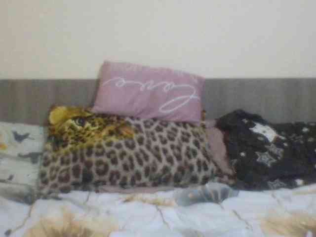 Evelynevasara1 webcam