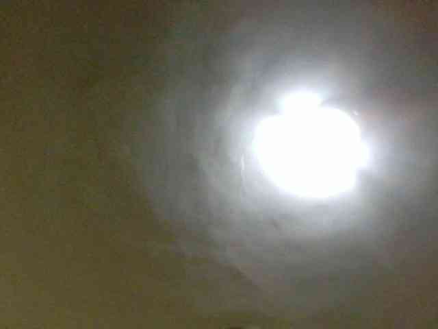 Evelynevasara1 webcam