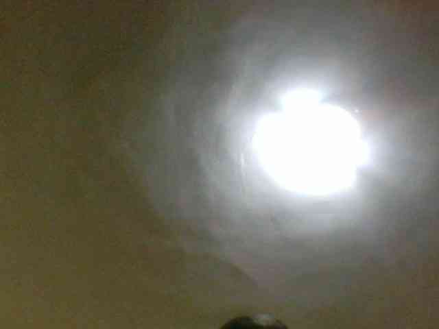 Evelynevasara1 webcam