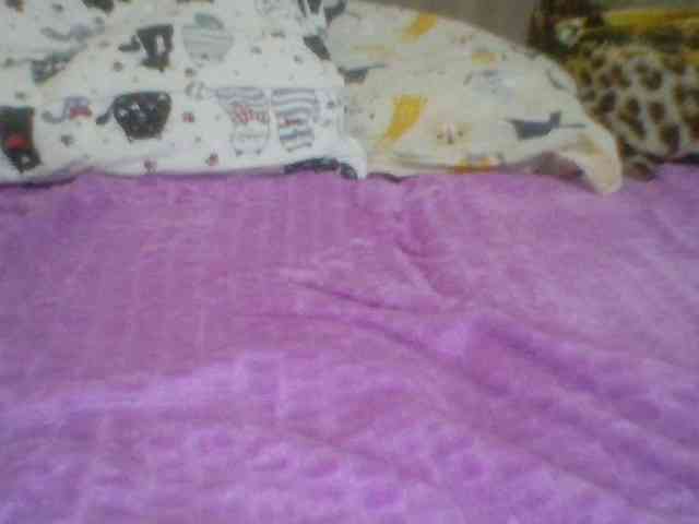 Evelynevasara1 webcam