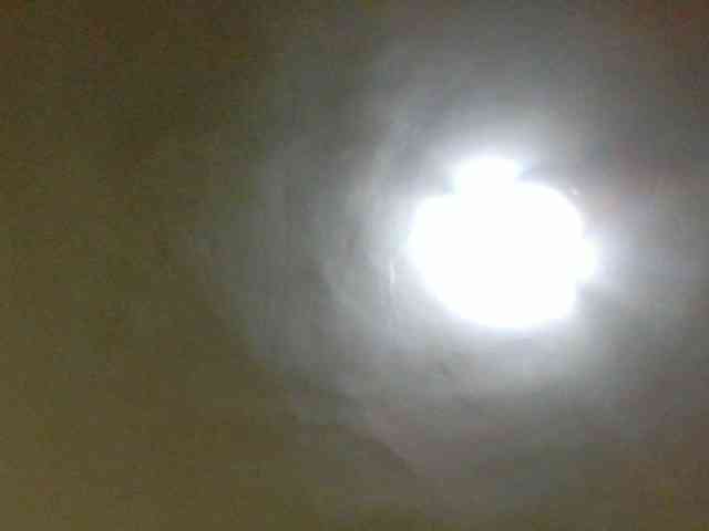 Evelynevasara1 webcam