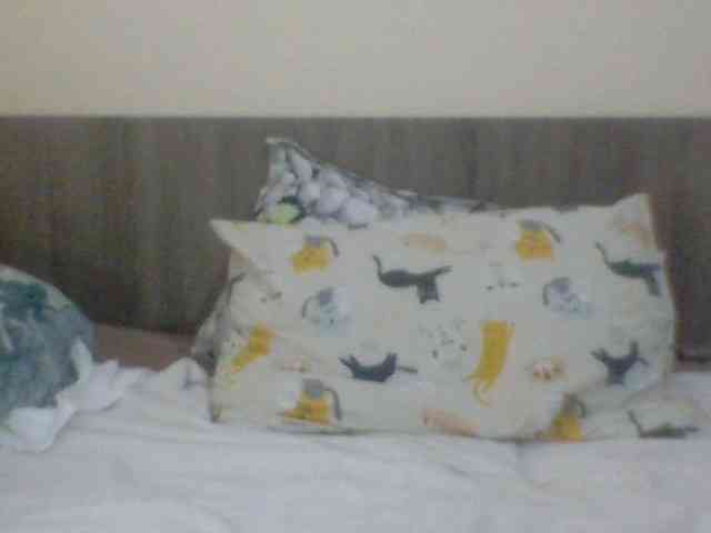 Evelynevasara1 webcam