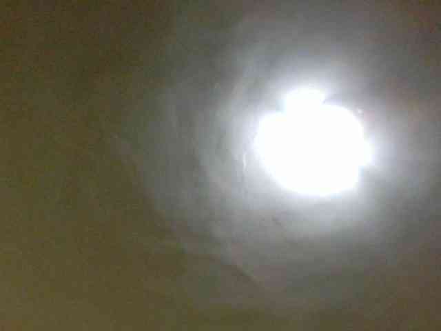 Evelynevasara1 webcam